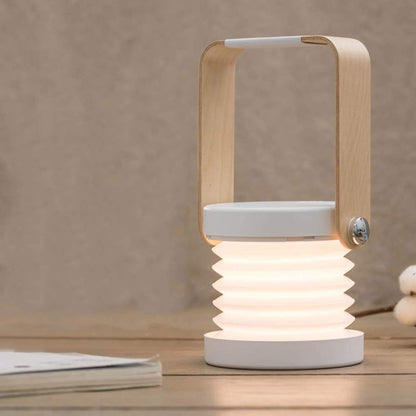 Wooden Handle Telescopic LED Lamp